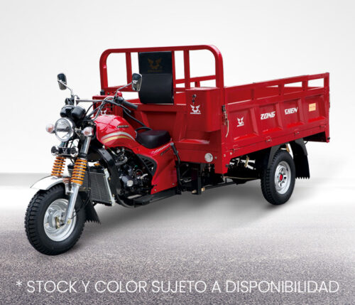 ZS250 -CM – Desde $4,148